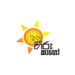 Hiru Moon Cargo - United Arab Emirates